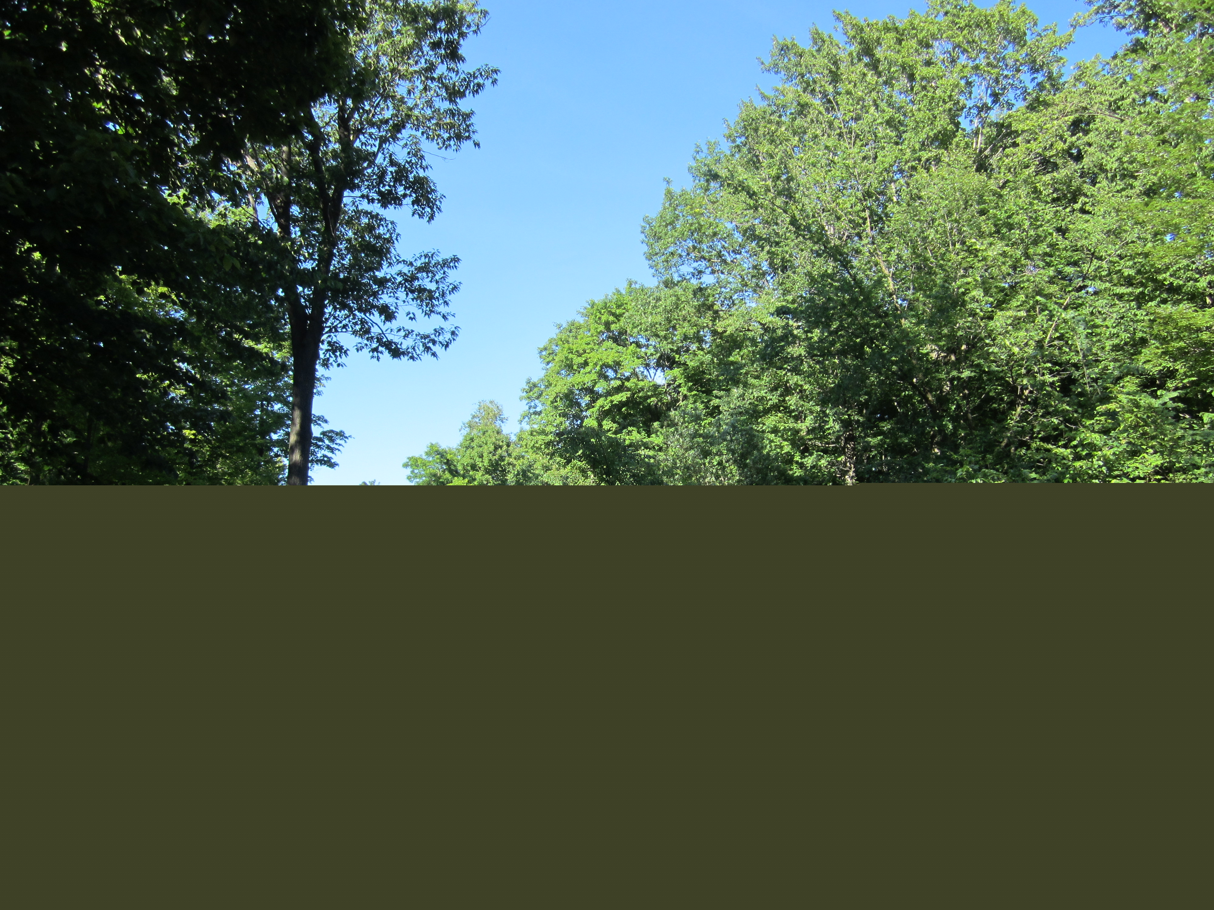 Bob's Garage & Towing